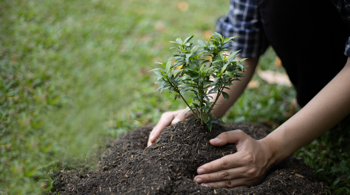 Segurança alimentar e preservação da natureza